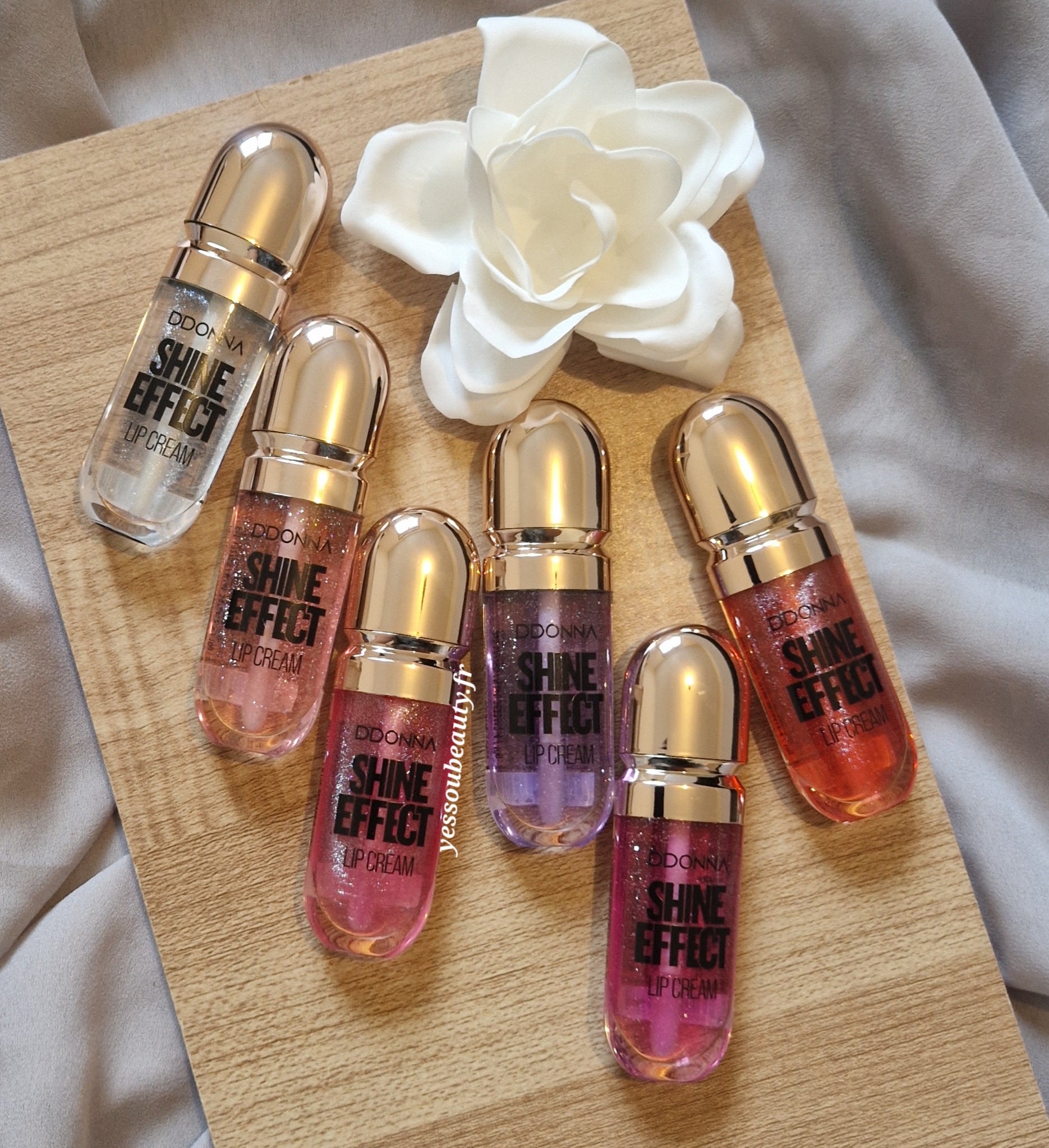 Gloss Shine - Inspiration